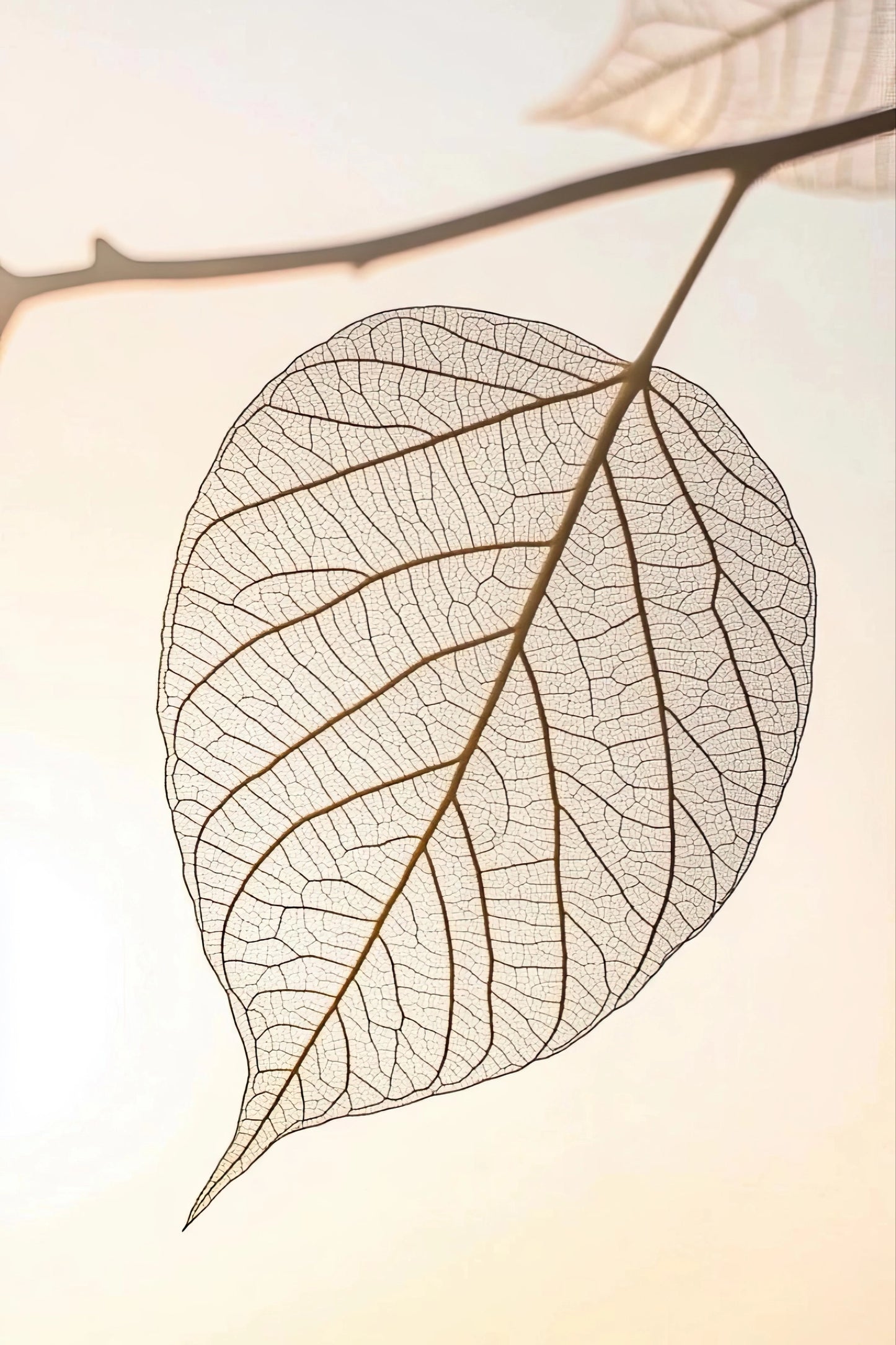 Kunstwerk met minimalistisch blad in beige en bruin met elegante lijnen en rustige sfeer