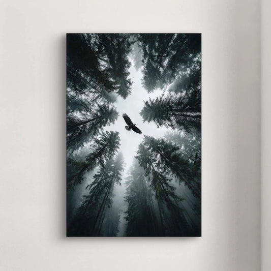 Detail van bos vanuit vogelperspectief met licht dat door de bomen valt