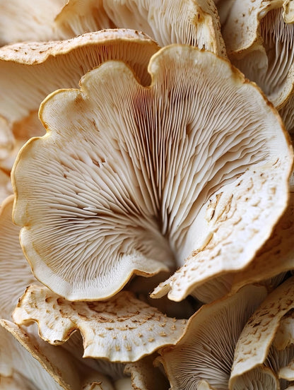 Volledig natuurgetrouw kunstwerk met macro-opname van paddenstoelen in neutrale kleuren
