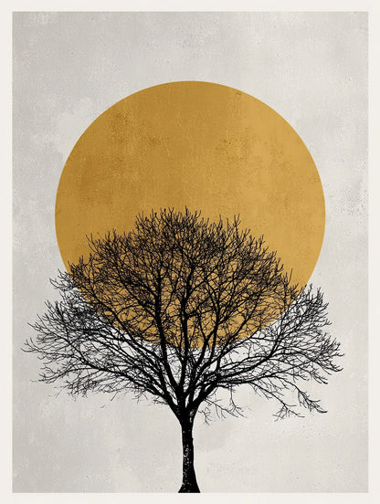 In het Oog van het Licht