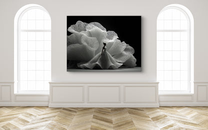 Lichtvorm wandkunst in elegant interieur met witte tinten en natuurlijke lichtinval
