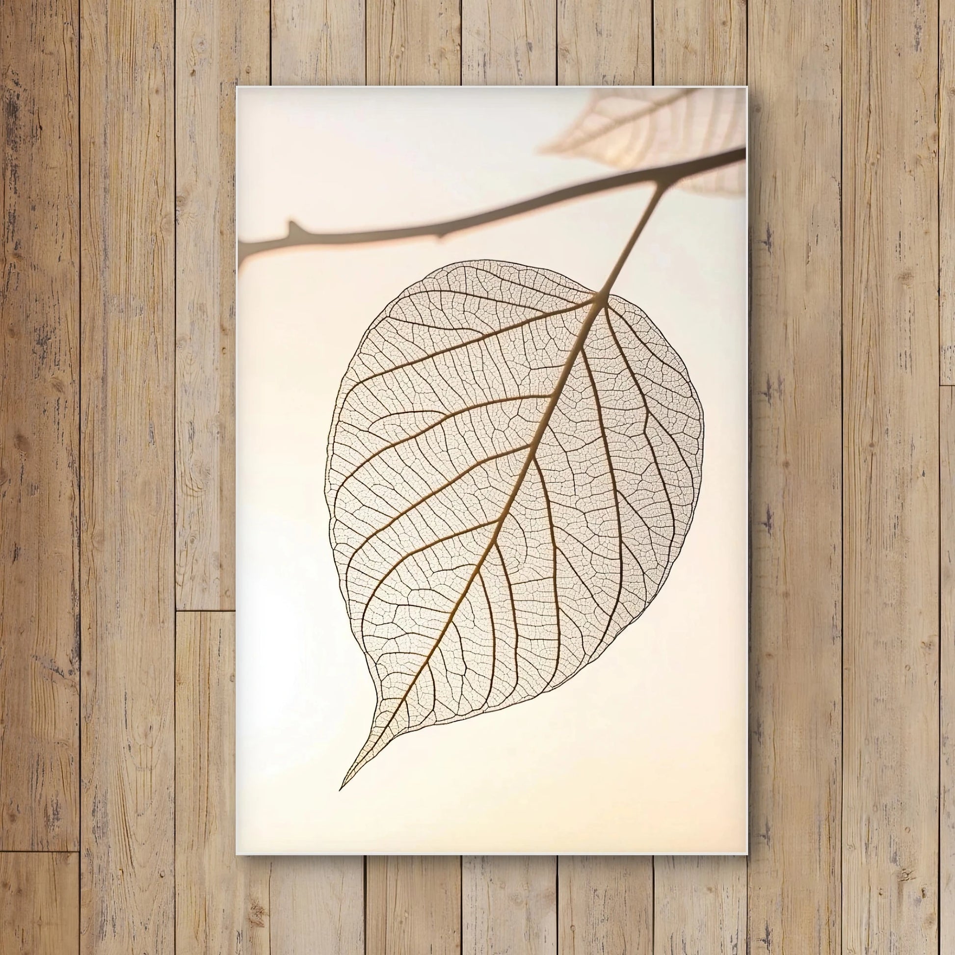 Detail van bladnerven in grafische stijl met zachte lichtinval en neutrale achtergrond
