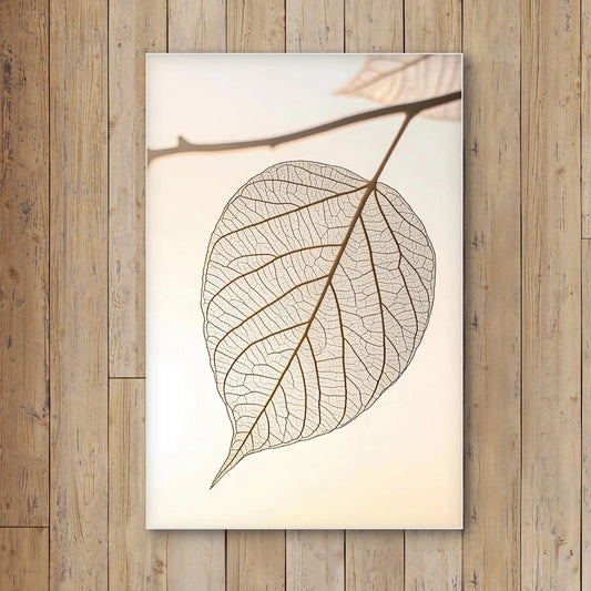 Detail van bladnerven in grafische stijl met zachte lichtinval en neutrale achtergrond
