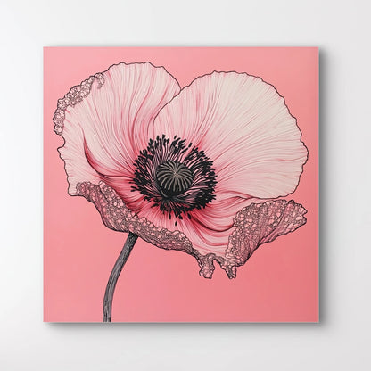 Detail van een roze papaverbloem met zwarte lijnen en donker hart, op een roze achtergrond
