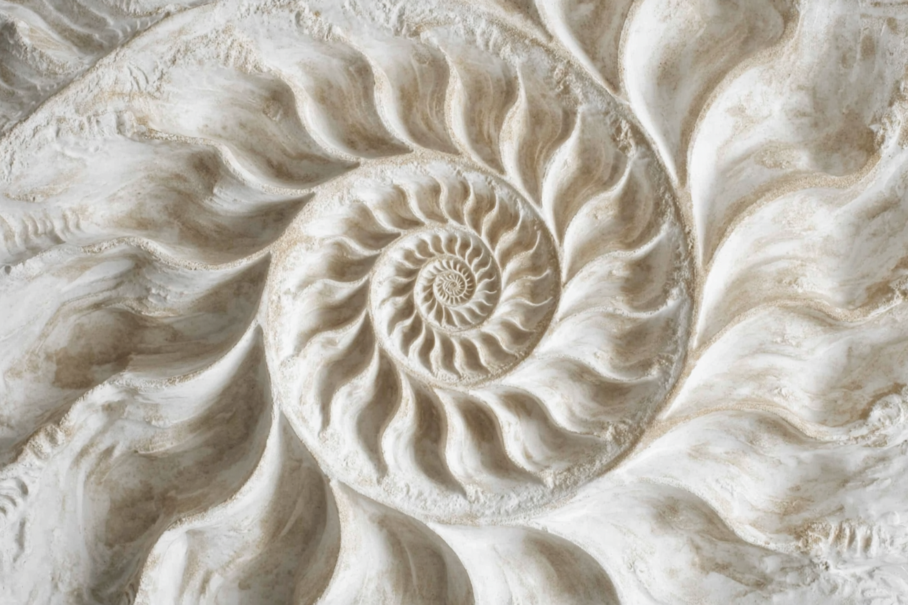 Schelpensymfonie, spiraalvormig kunstwerk geïnspireerd door de zee
