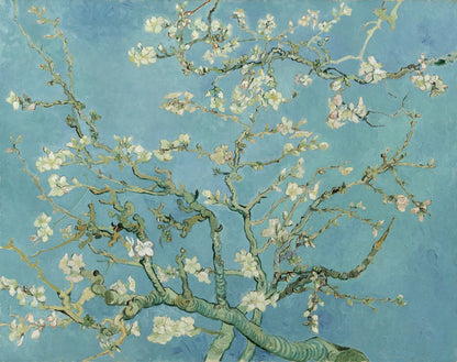 Volledige weergave van Van Goghs “Amandelbloesem” met takken en witte bloemen tegen blauwe achtergrond

