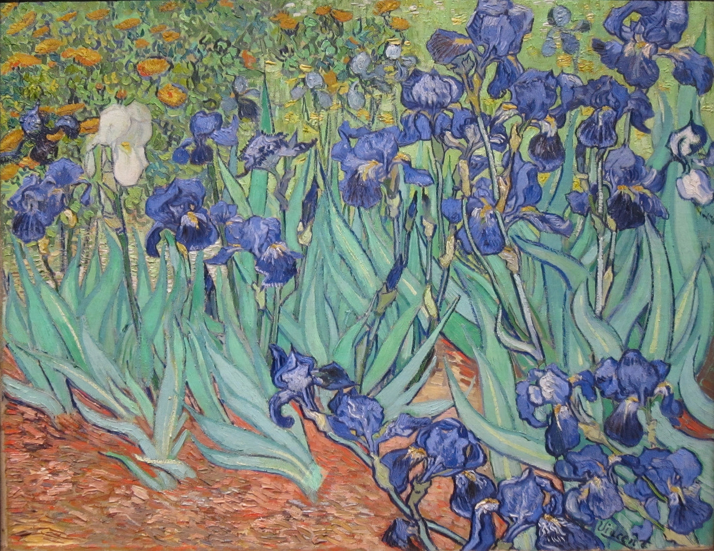 Volledige weergave van Van Goghs “Irissen” met weelderig bloembed in krachtige kleuren
