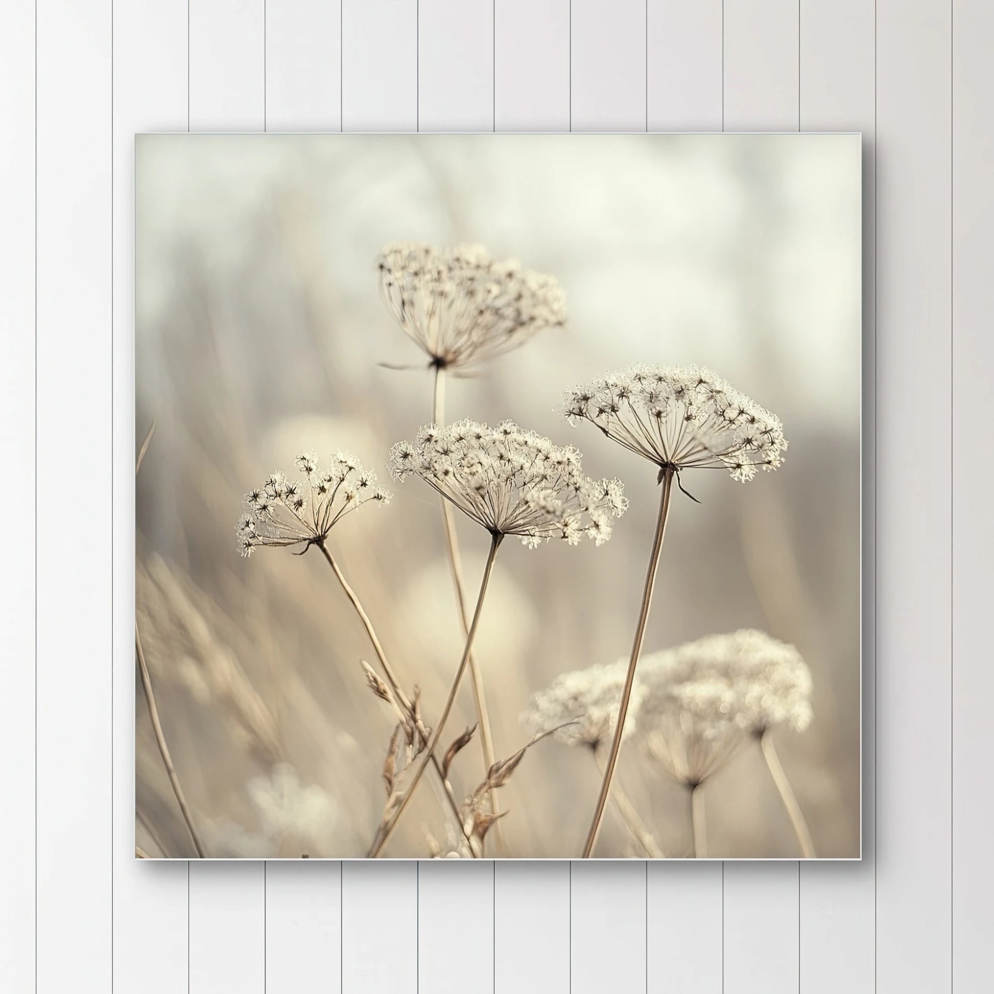 Detail van zachte, transparante bloemschermen in beige tinten met een wazige achtergrond
