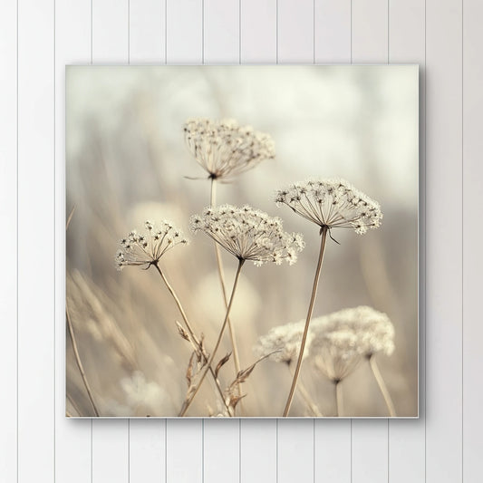 Detail van zachte, transparante bloemschermen in beige tinten met een wazige achtergrond
