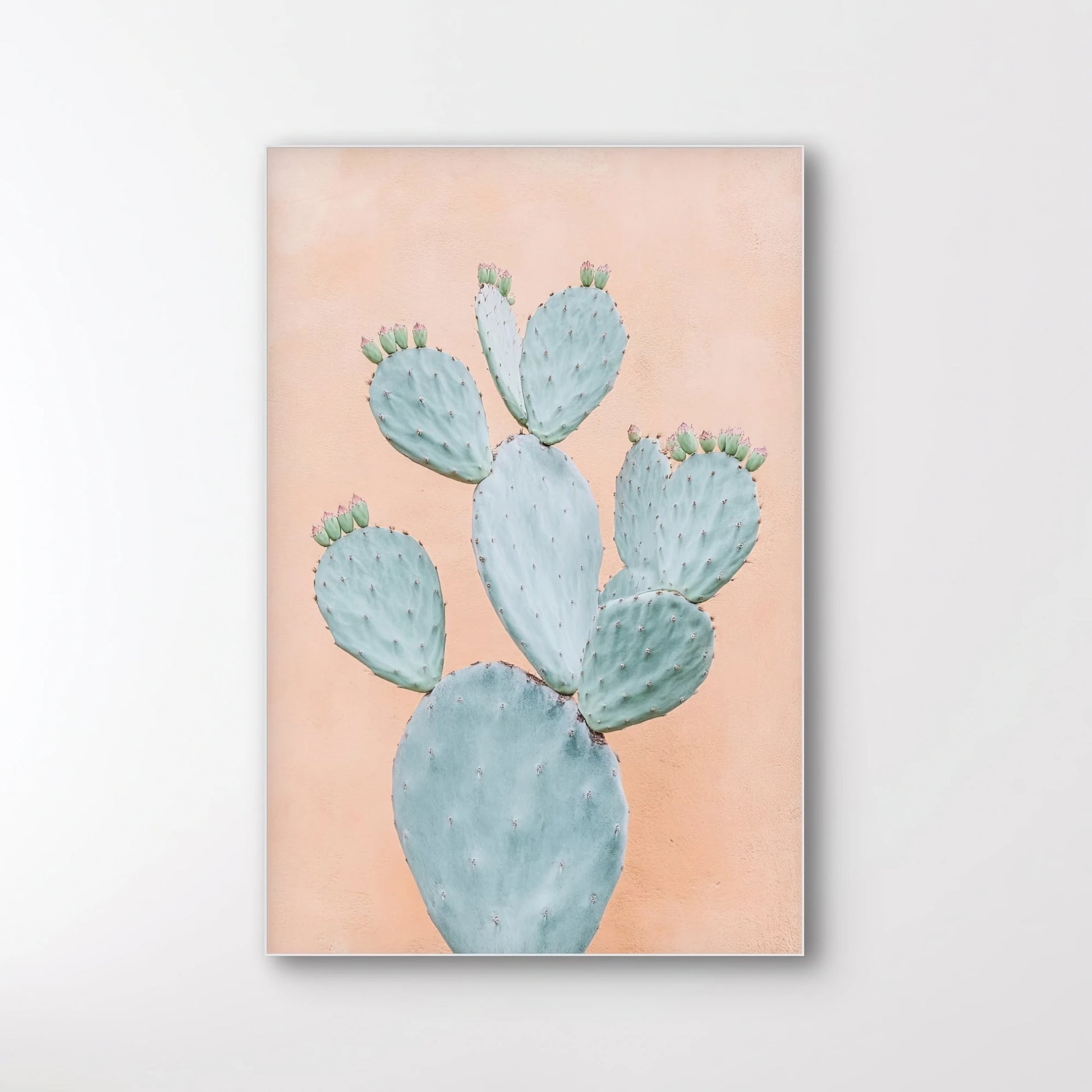 Detail van een blauwe cactus met zachte textuur op een pastelroze achtergrond
