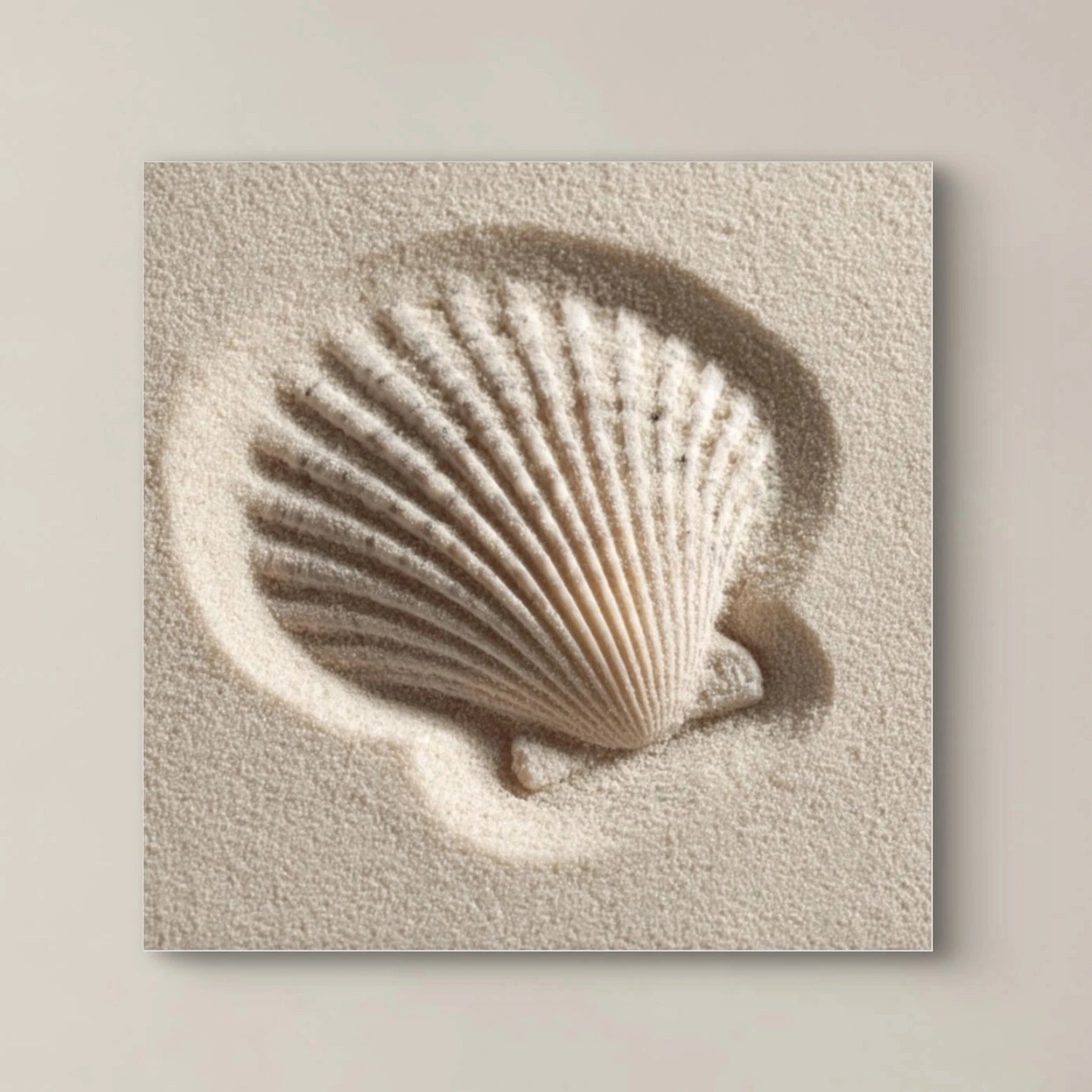 Detail van Zandfluistering, schelpafdruk met spel van licht en schaduw in zand
