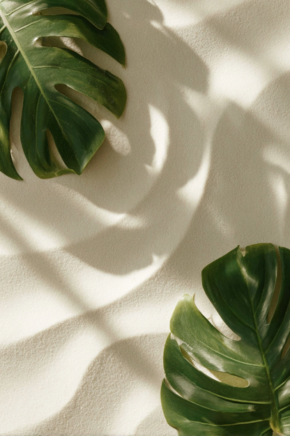 Zonspoor, kunstwerk met bladeren en spel van zonlicht en schaduw
